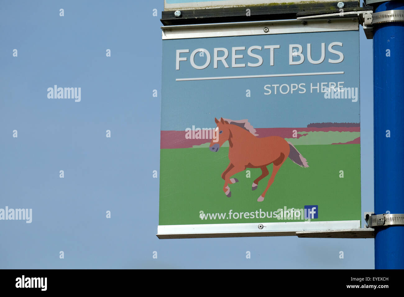 Fermata bus per firmare il bus della foresta nella nuova foresta Hampshire REGNO UNITO Foto Stock