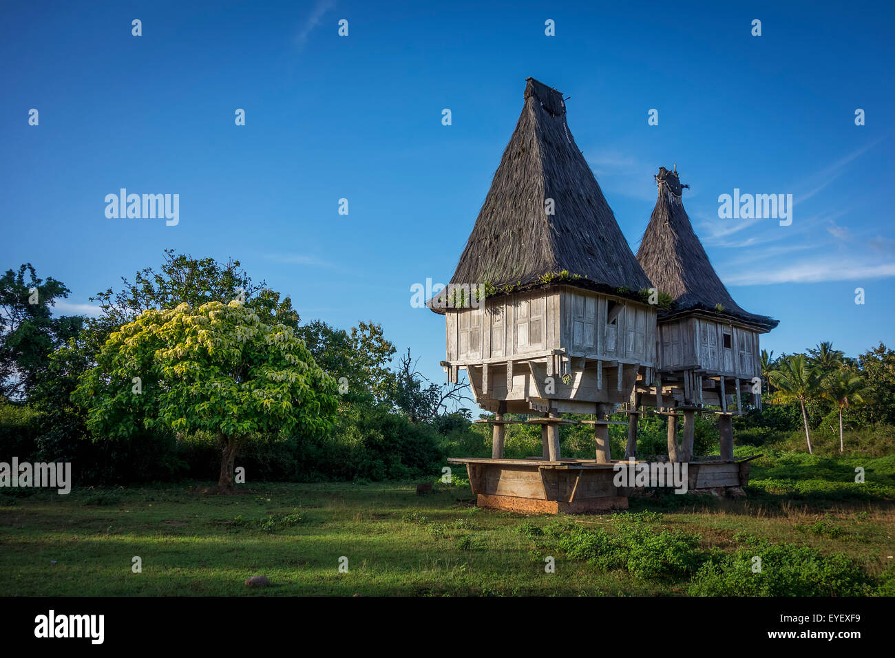 Tradizionali case di sacra; Lospalmos distretto, Timor-Leste Foto Stock