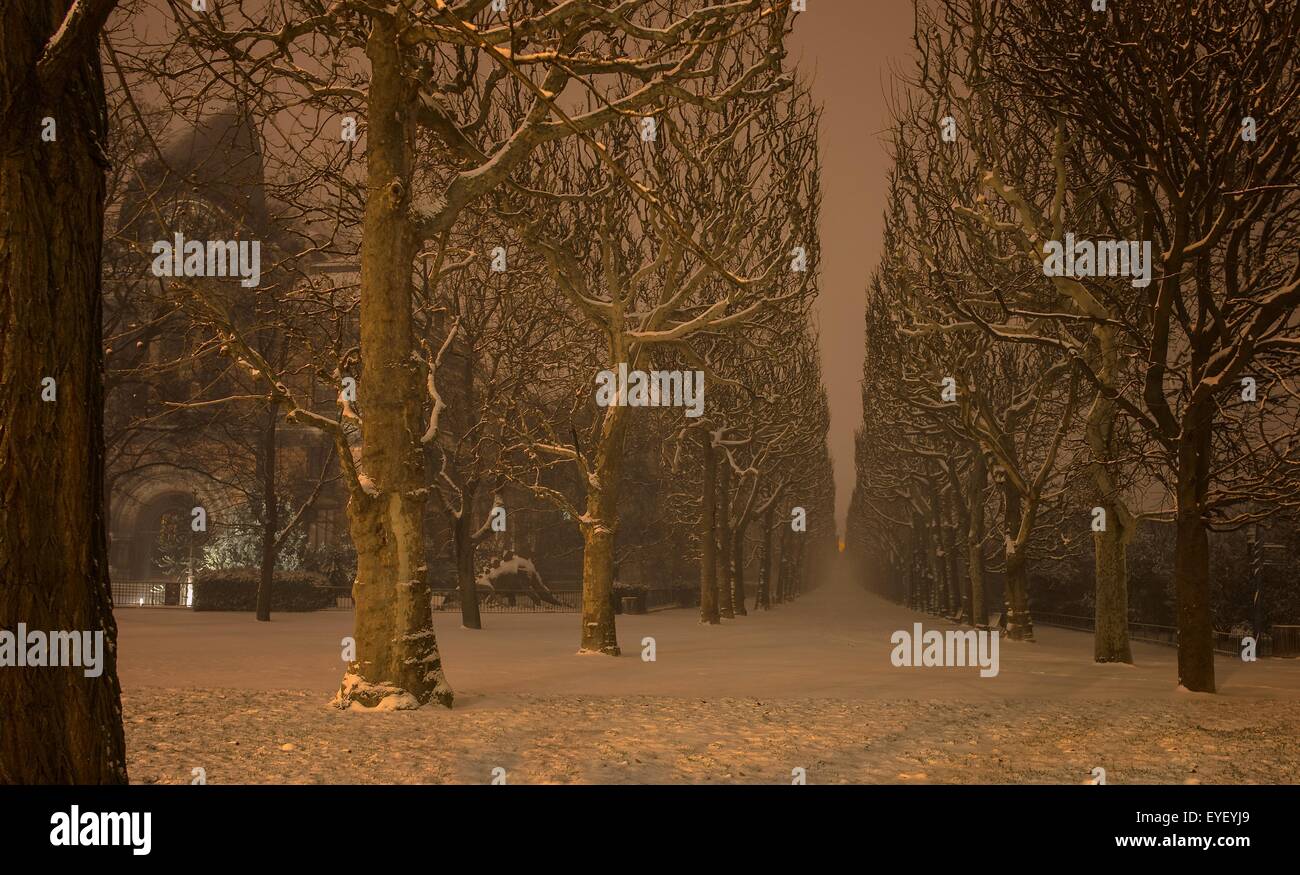 Percorso di albero piano del giardino delle piante di Parigi, sotto la neve di marzo 18/01/2013 - Sylvain Leser Foto Stock