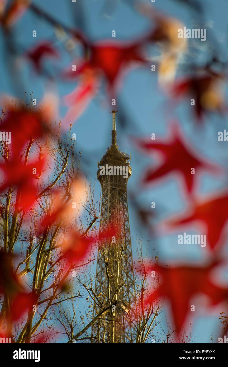 La torre Eiffel di Parigi in autunno. 25/11/2012 - Sylvain Leser Foto Stock