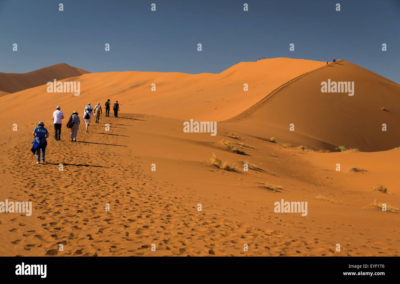 Gli escursionisti ascendente daddy grande duna di sabbia in Namib-Naukluft National Park vicino al Sossusvlei Namibia Foto Stock