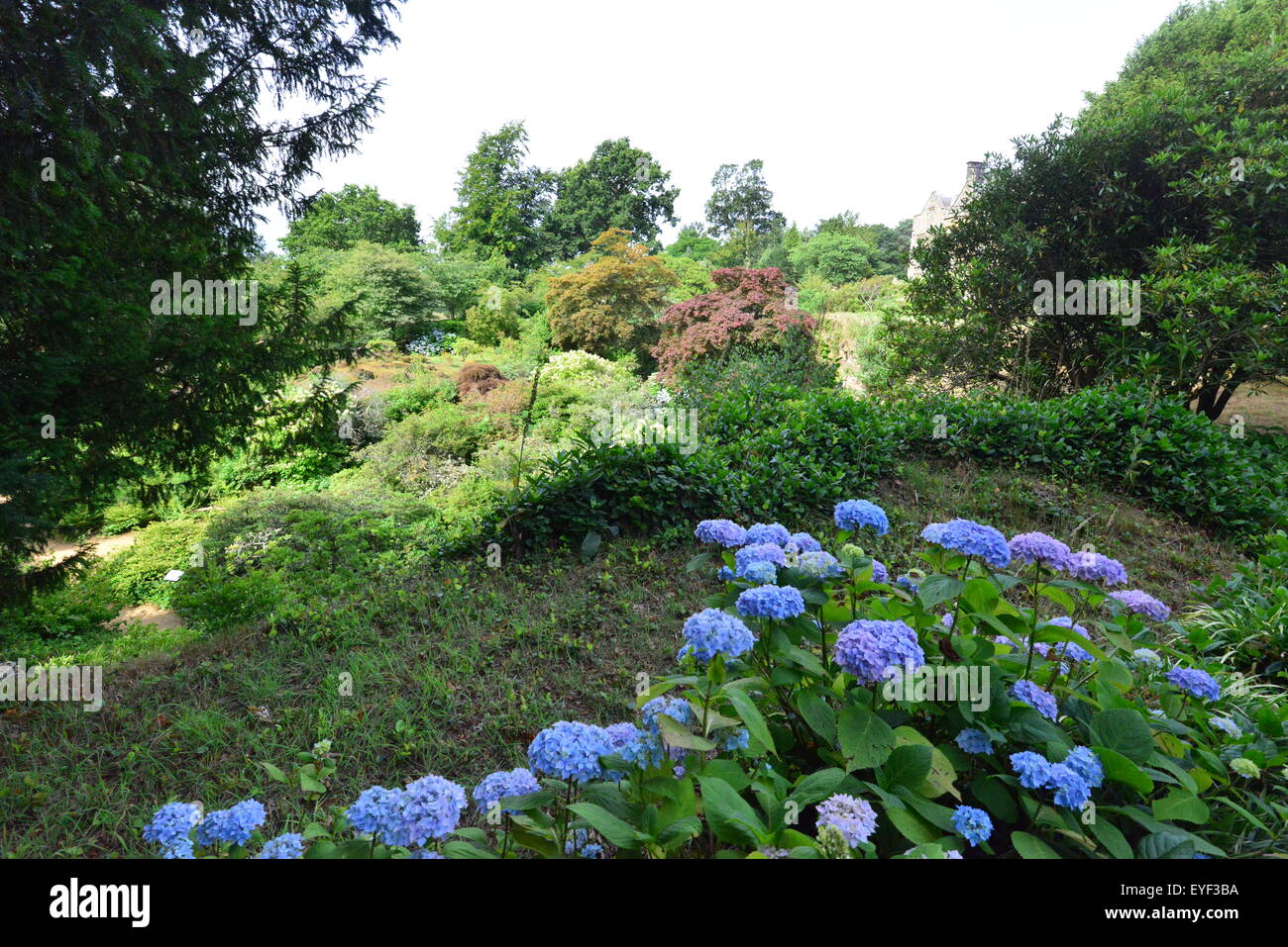Un fornitissimo incolto giardino in Inghilterra Foto Stock