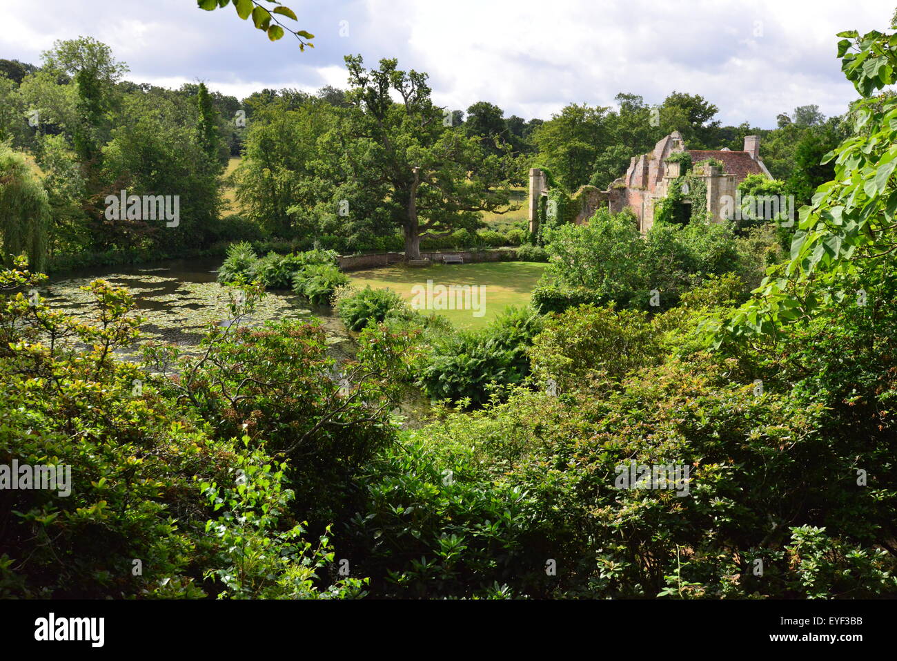 Un fornitissimo incolto giardino in Inghilterra Foto Stock
