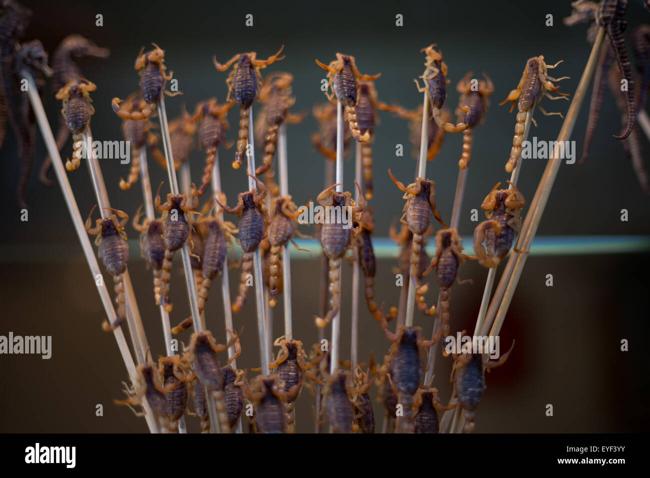 Il mercato notturno e cibi esotici di Wangfujing Street, a Pechino, in Cina. Foto Stock