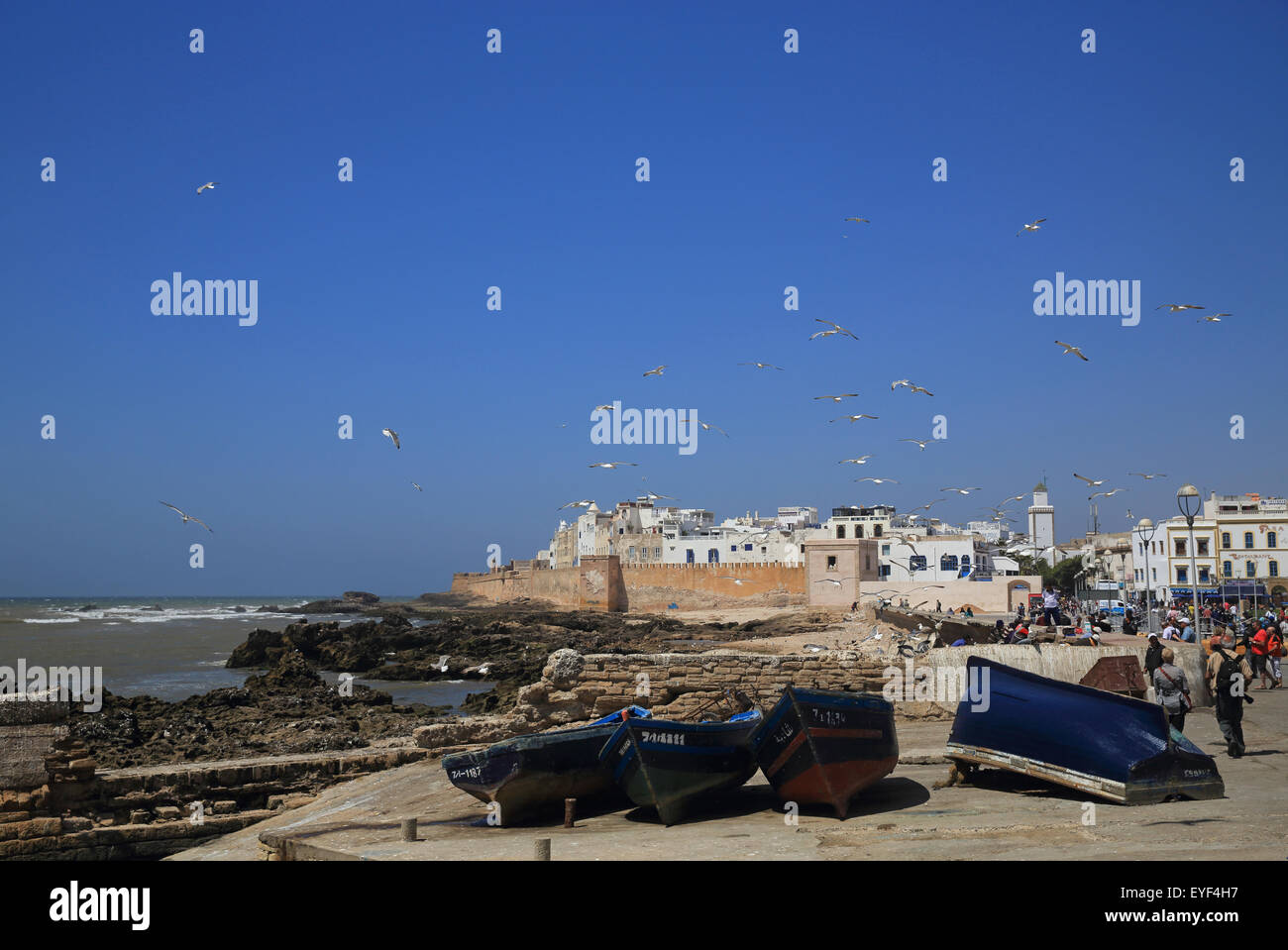 La bellissima città costiera sull'Oceano Atlantico, Essaouira in Marocco, Africa del Nord Foto Stock