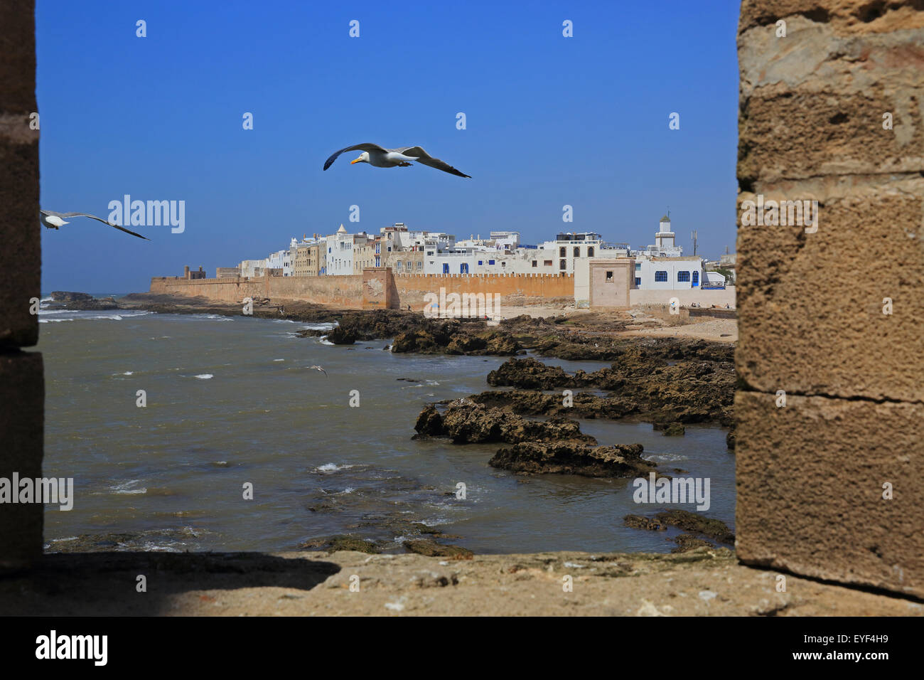 Vista dalle mura della città costiera sull'Oceano Atlantico, Essaouira in Marocco, Africa del Nord Foto Stock