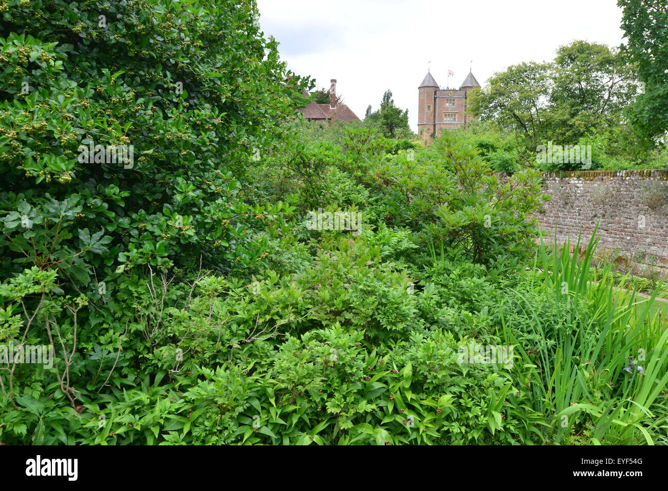 Un fornitissimo incolto giardino in Inghilterra Foto Stock