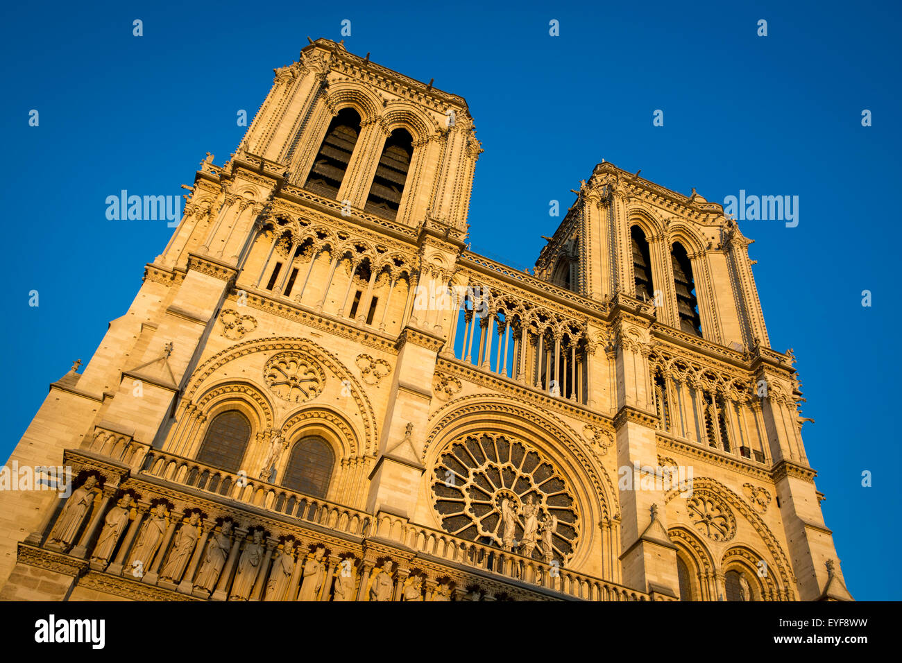 Cattedrale di Notre Dame al tramonto, Parigi, Francia Foto Stock