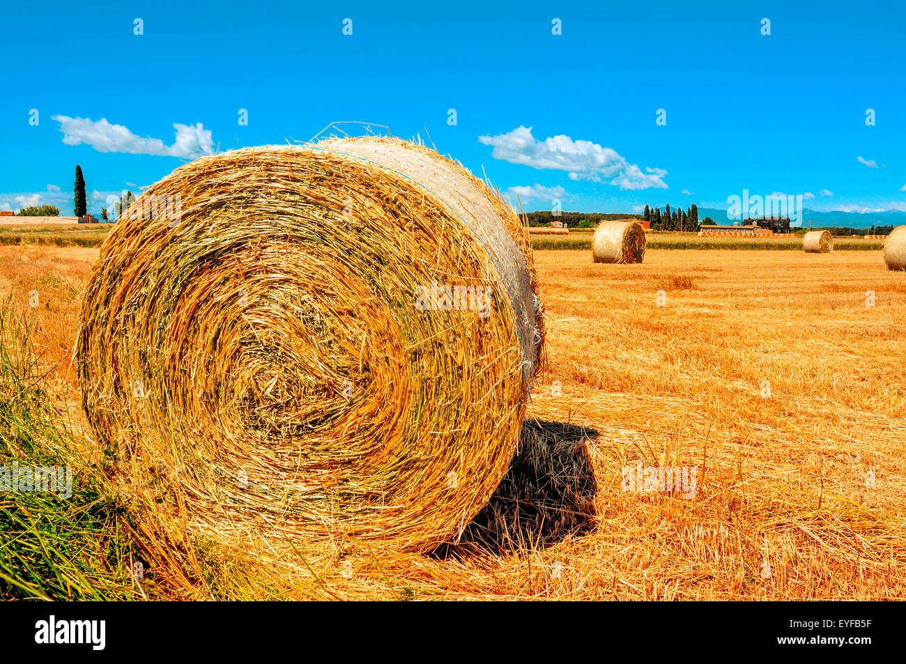 Un campo di raccolto in Spagna con alcuni grandi round le balle di paglia dopo la mietitura Foto Stock