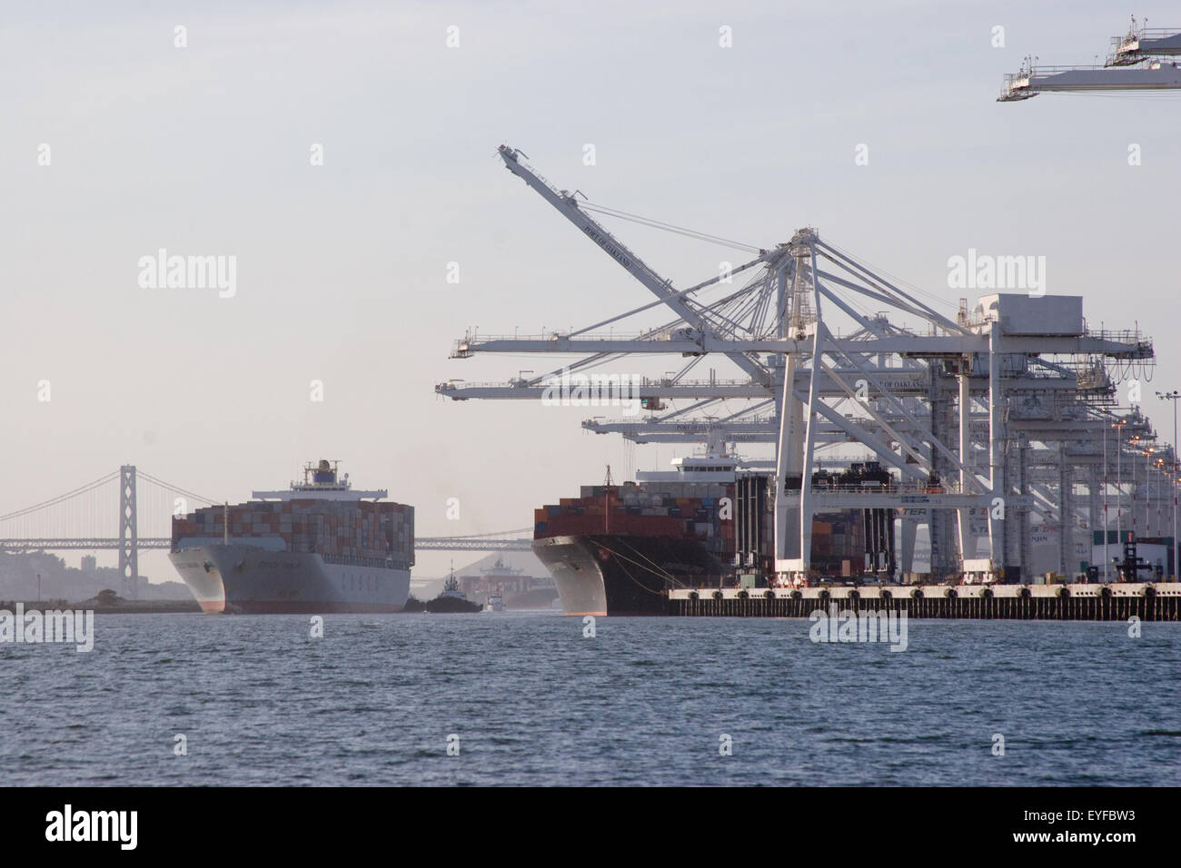 Vela container nel porto di Oakland Foto Stock
