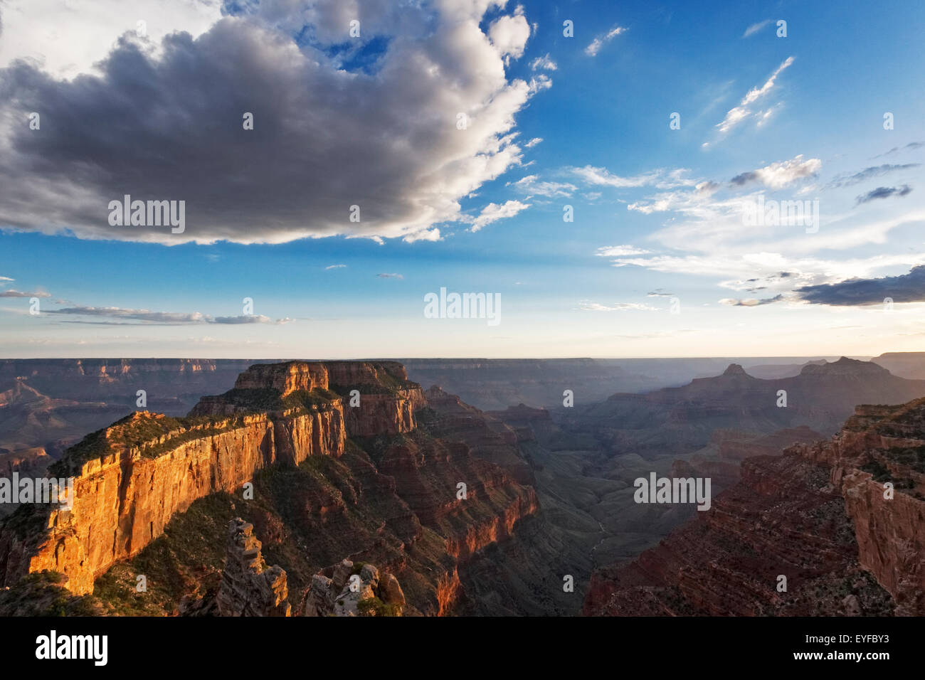 Parco Nazionale del Grand Canyon, North Rim, Arizona Foto Stock