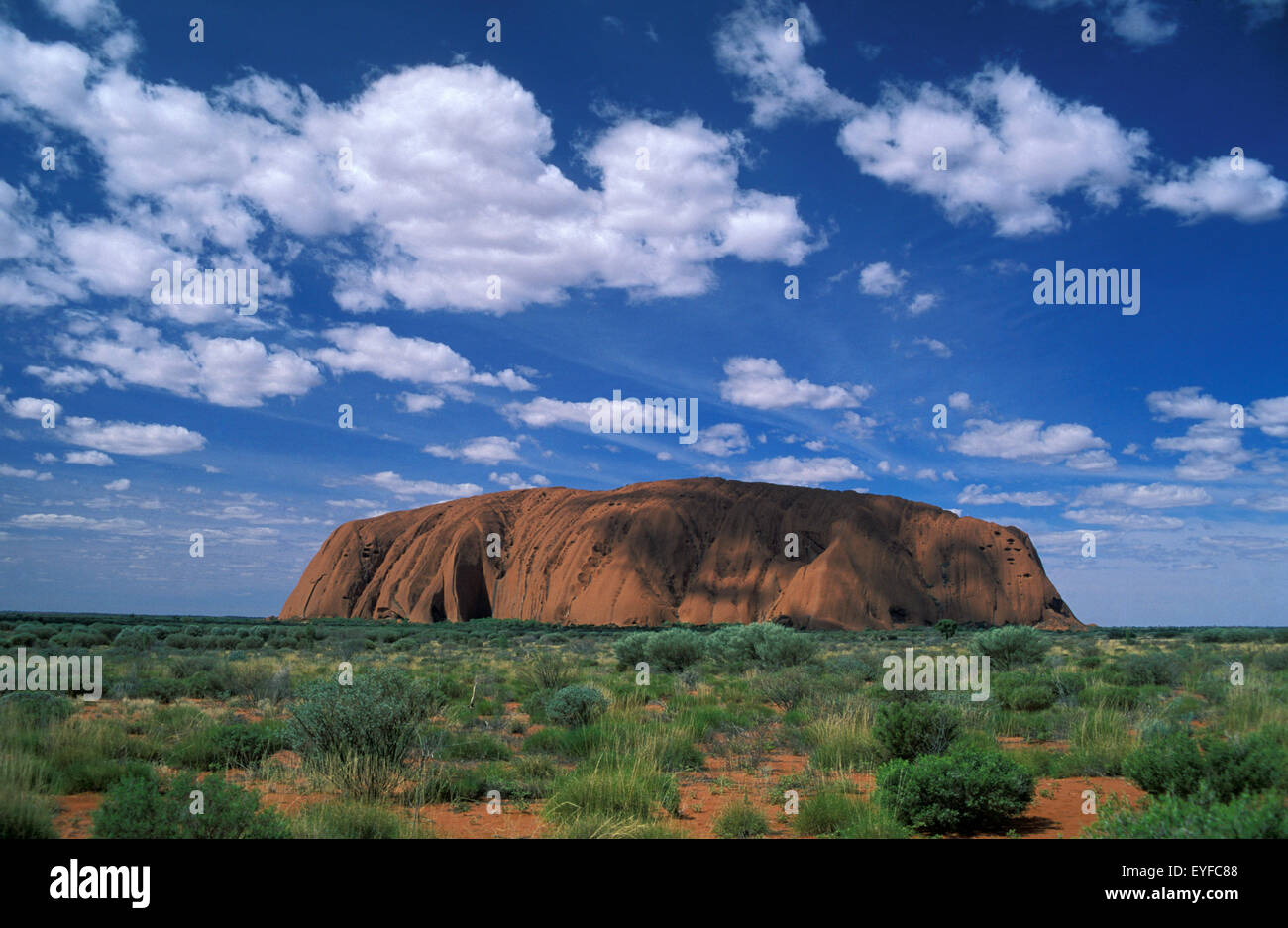 Una vista di Uluru (Ayres Roack) attraverso il deserto Scrublands, Australia. Foto Stock