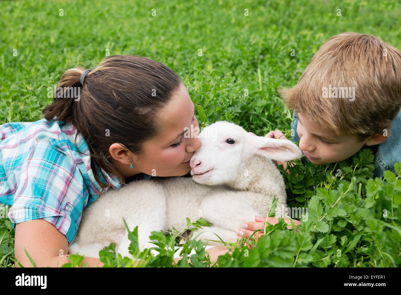 Ragazzo (10-11) con la ragazza (12-13) kissing agnello Foto Stock