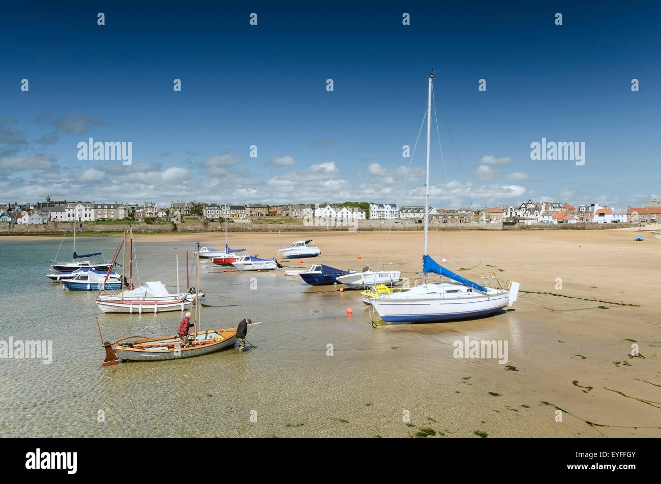 Regno Unito, Scozia, Fife, East Neuk, vista delle barche a vela e barche a remi; Elie e Earlsferry Foto Stock