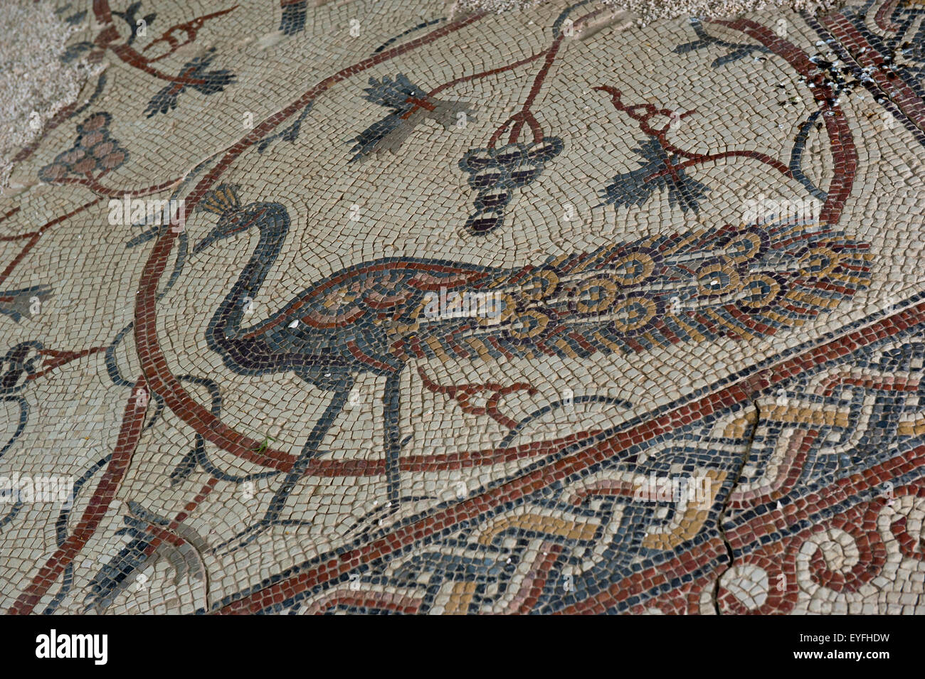 Dei primi Cristiani in mosaico le rovine della chiesa sul monte Nebo; Giordania Foto Stock