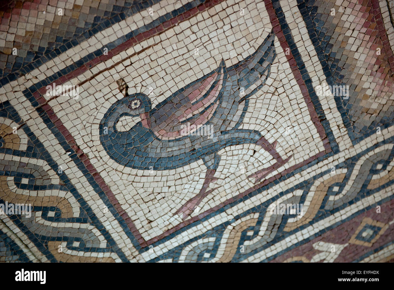 Dei primi Cristiani in mosaico le rovine della chiesa sul monte Nebo; Giordania Foto Stock