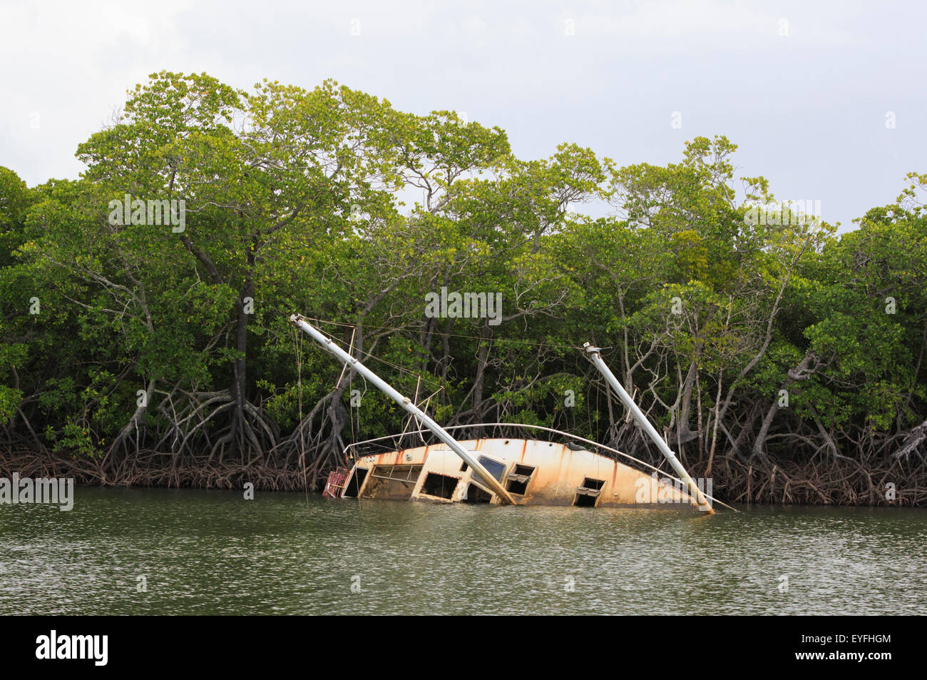 Un abbandonato e yacht capovolta in ingresso Dickson, Port Douglas, danneggiate dalle gravi ciclone tropicale Yasi nel 2011 Foto Stock
