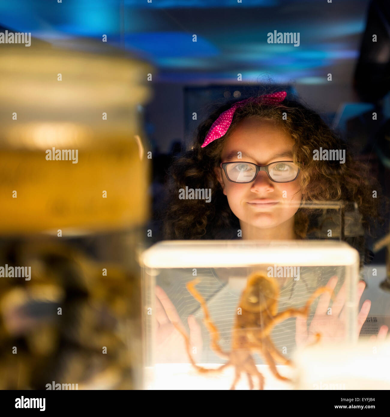 7 anno vecchia ragazza guardando presenta in contenitori in vetro presso il Museo di Storia Naturale di Londra. Foto Stock