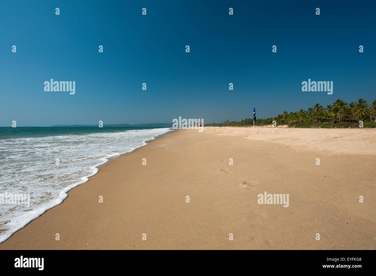 Spiaggia con cielo blu e palme; Goa, India Foto Stock