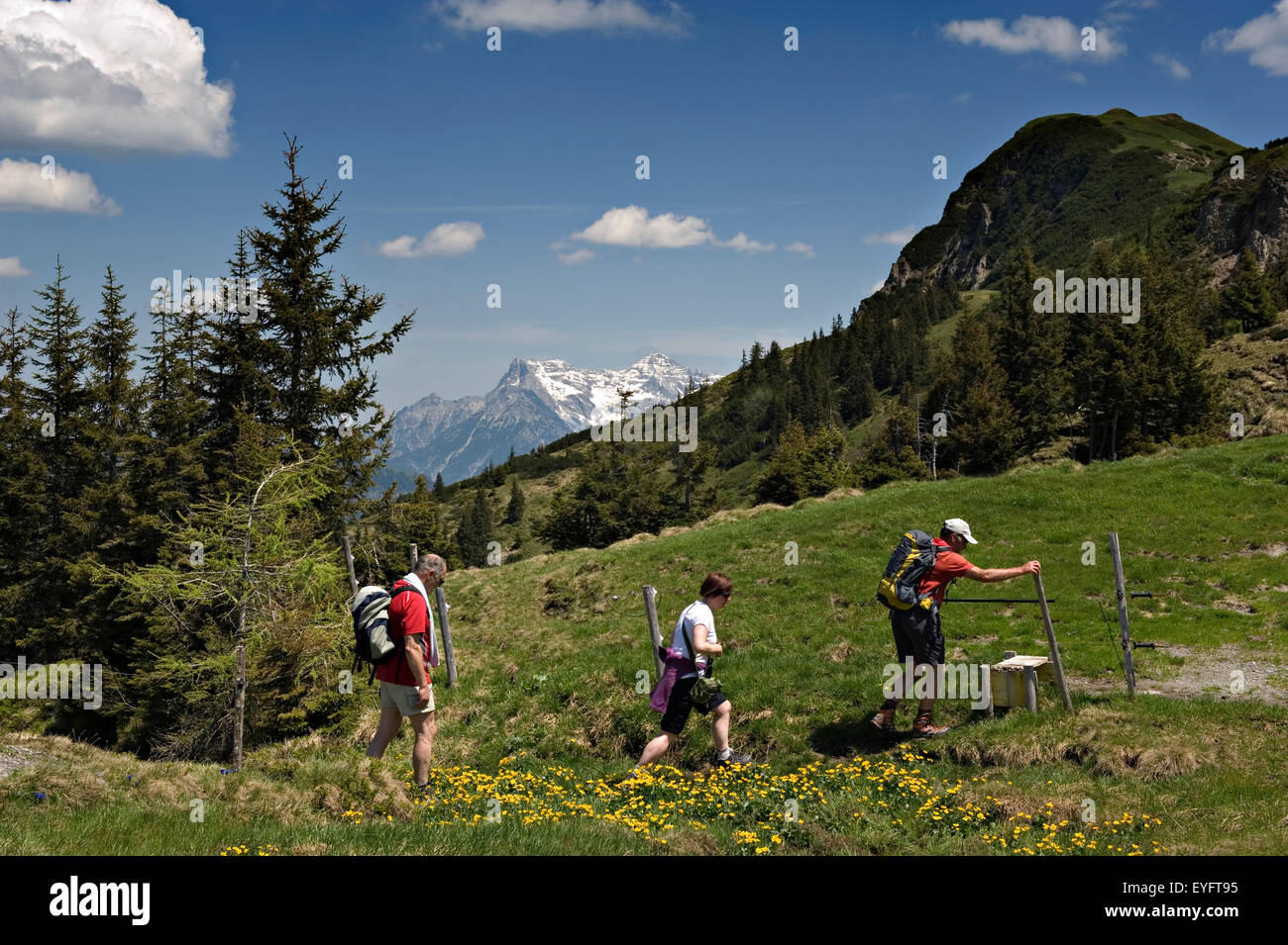 Gli escursionisti la scalata al vertice di Karstein. Kitzbuehel, Tirolo, Austria. Foto Stock