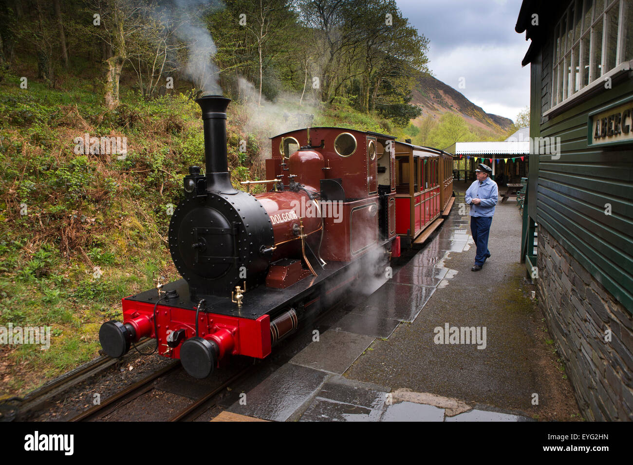 Regno Unito Galles, Gwynedd, Abergynolwyn, Tal-y-Llyn ferrovia stazione Tywyn, 1866 0-4-0 loco Dolgoch in corrispondenza della piattaforma Foto Stock