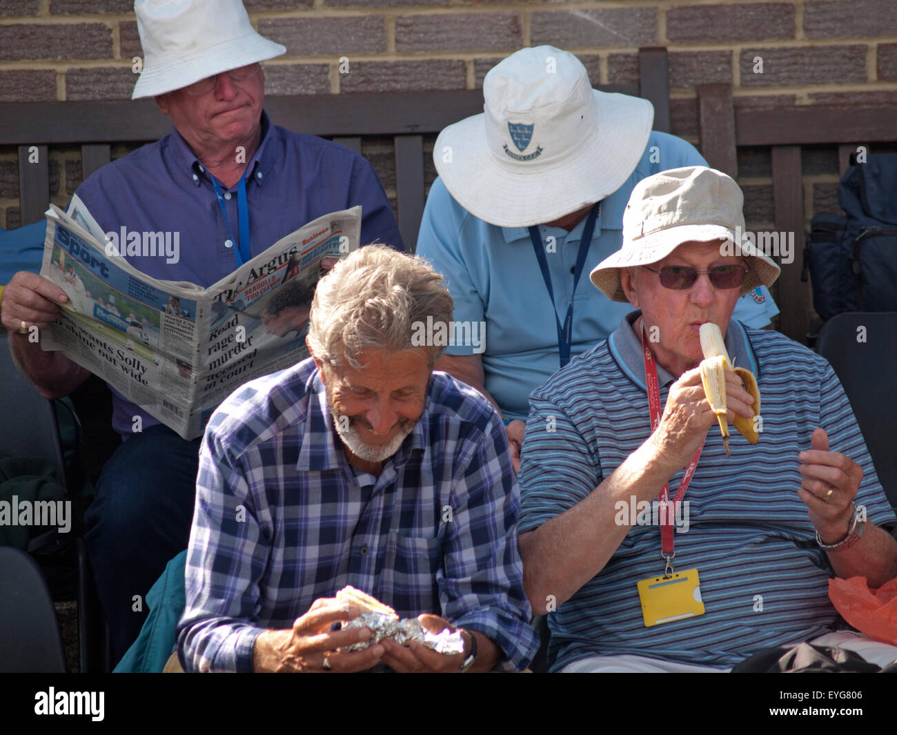 English cricket-amanti guardare il loro gioco in una giornata di sole in West Sussex Foto Stock