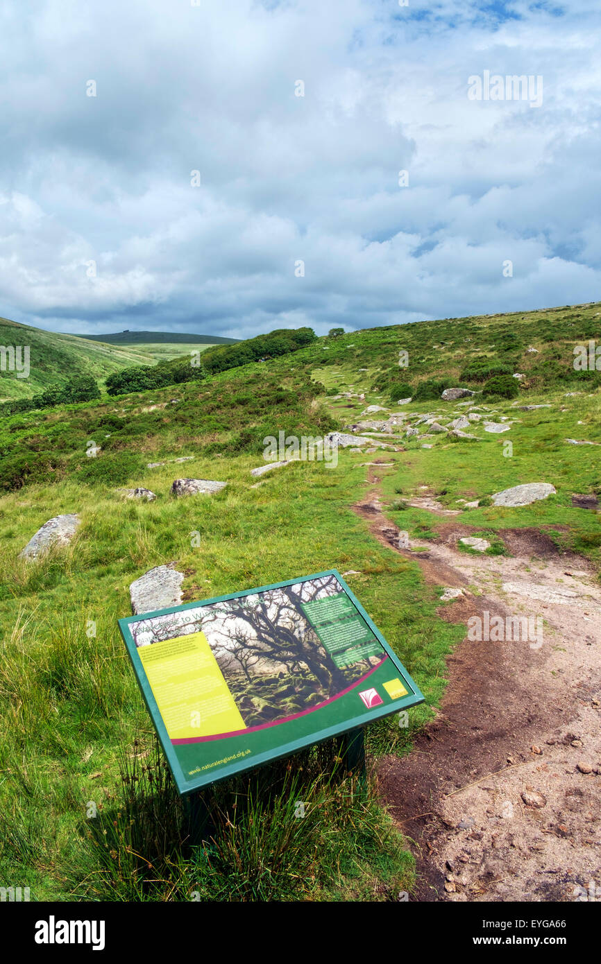 Il sentiero da due ponti a Wistman il legno con scheda di informazione in primo piano, Dartmoor Devon, Inghilterra, Regno Unito Foto Stock