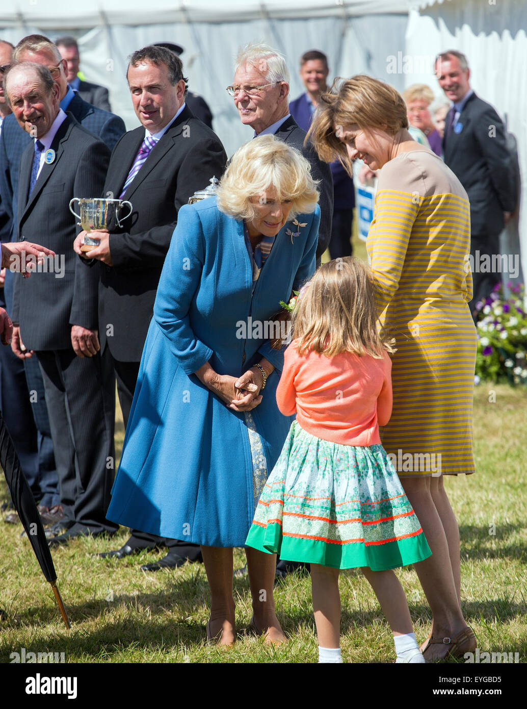 Sandringham, Norfolk, Regno Unito. 29 Luglio, 2015. 134Sandringham Flower Show 2015. Credito: Ian Ward/Alamy Live News Foto Stock