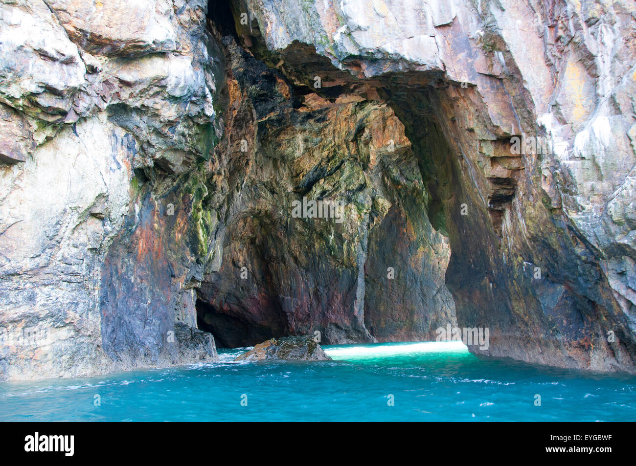 Gita in barca a Ramsey isola, St David's in Pembrokeshire West Wales UK Foto Stock