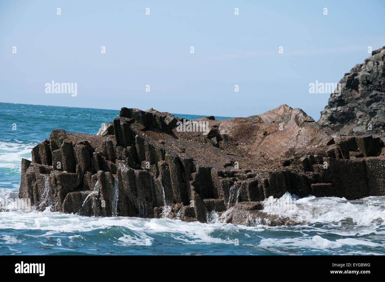 Gita in barca a Ramsey isola, St David's in Pembrokeshire West Wales UK Foto Stock