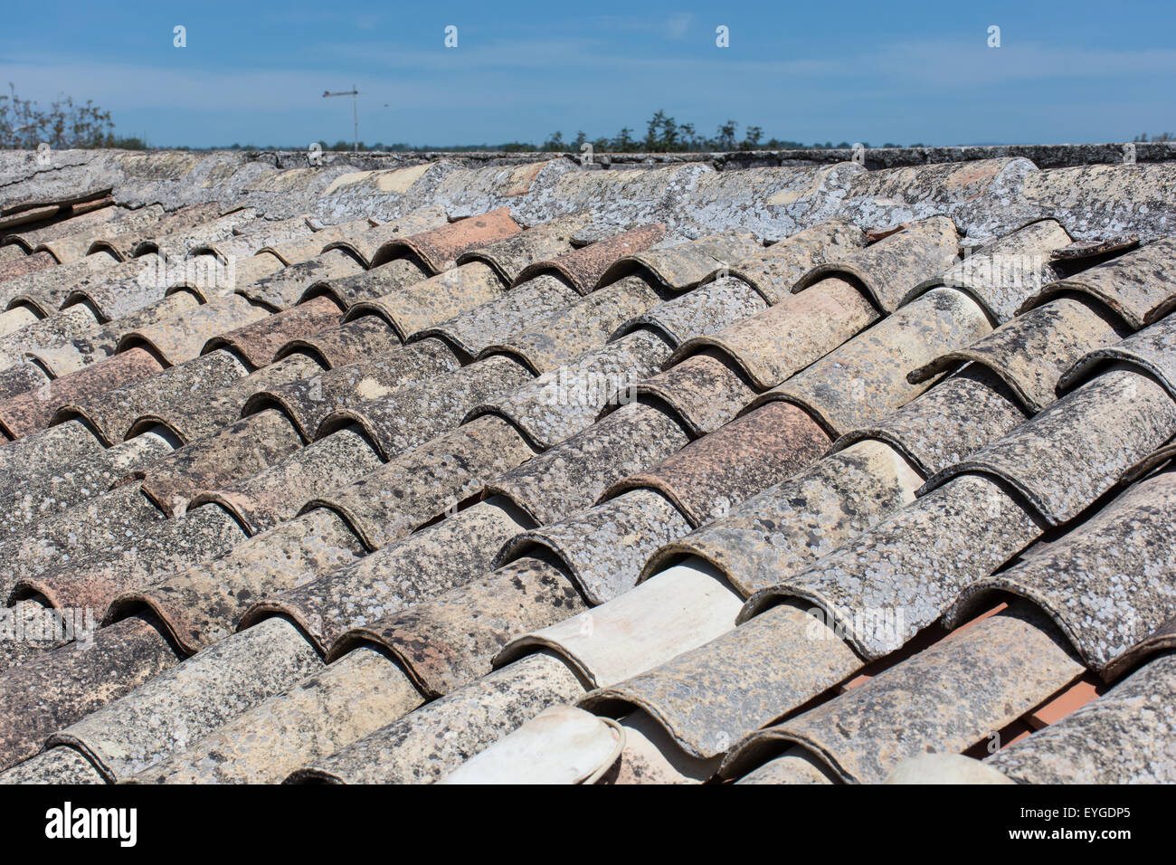 Tetto con piastrelle vecchie, canali in terracotta, argilla, tetti prodotti tipici siciliani. Foto Stock