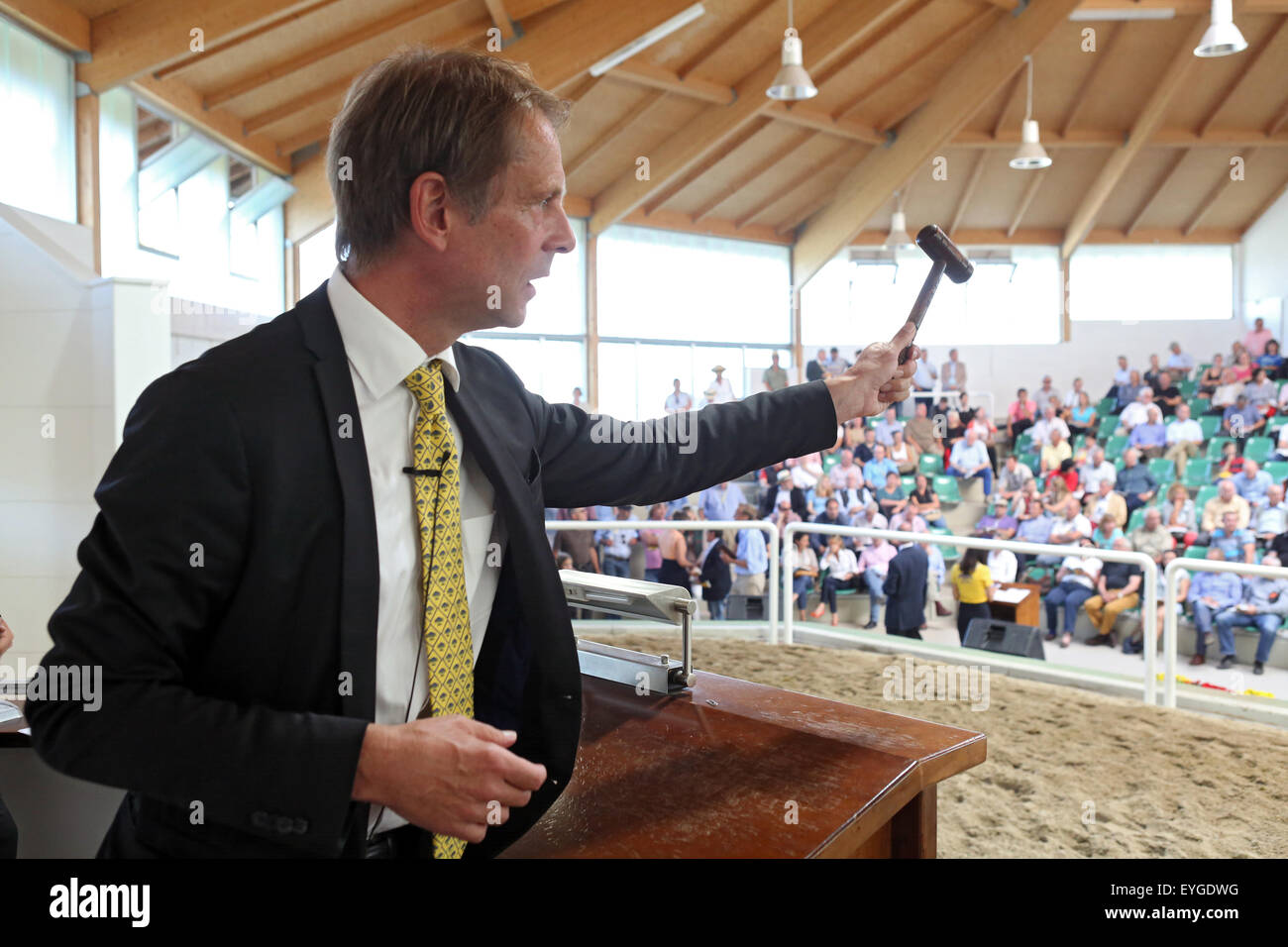 Iffezheim, Germania, banditore Daniel Delius al lavoro Foto Stock