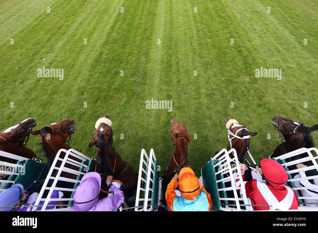 Amburgo, Germania, cavalli e fantini all'inizio di una corsa di cavalli Foto Stock