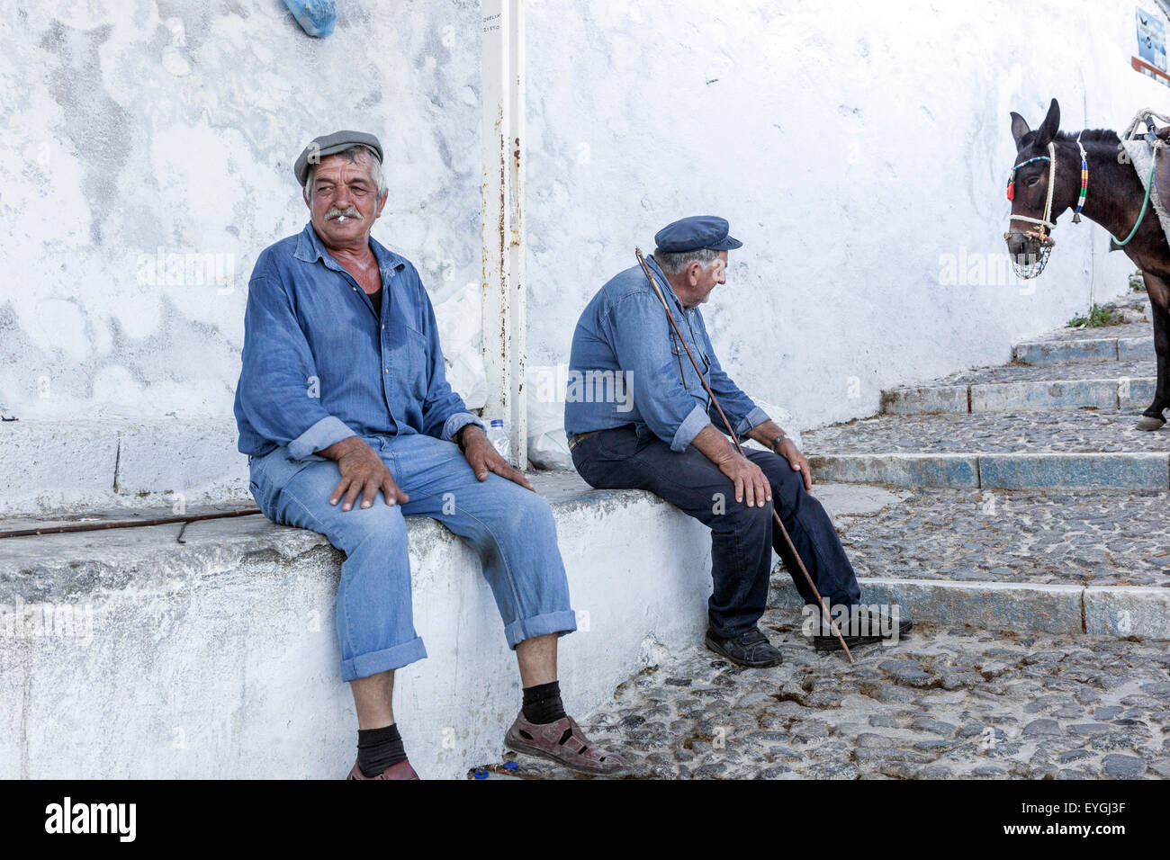 Conducenti di asini, uomini, anziani, Fira Santorini, isola greca, Grecia anziani anziani anziani della popolazione Foto Stock