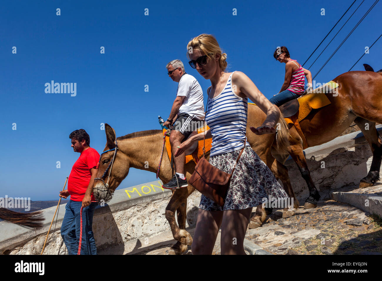 Asini che trasportano i turisti sulla strada che collega il porto alla città di Fira Santorini, l'isola greca, Grecia Foto Stock