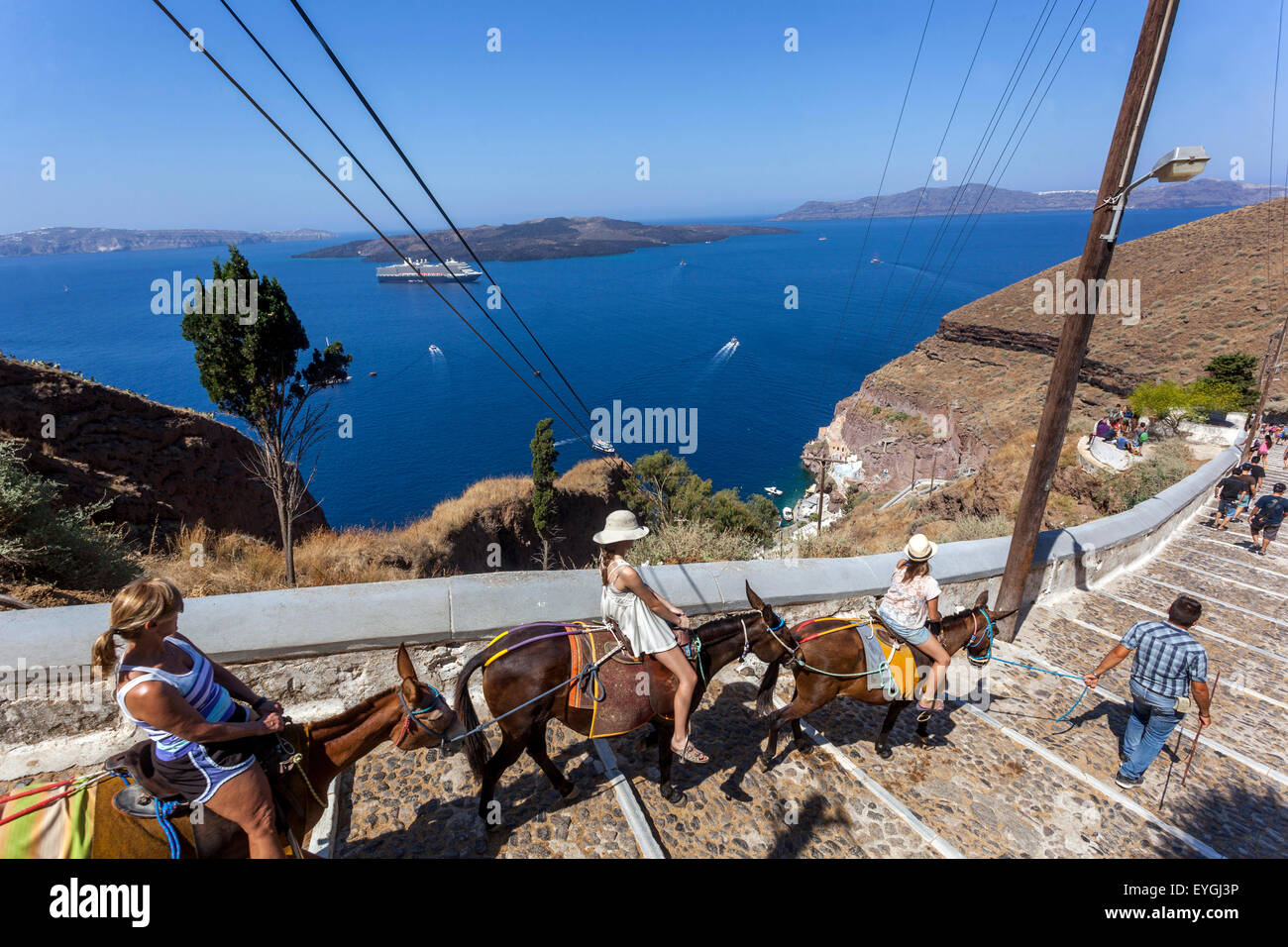 Asini che trasportano i turisti sulla strada che collega il porto alla città di Thira Santorini, l'isola greca, le Cicladi, la baia della Grecia Foto Stock