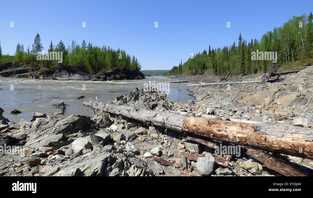 Il fiume di carbone, appena fuori dal lago Watson, Yukon Territory Canada Foto Stock