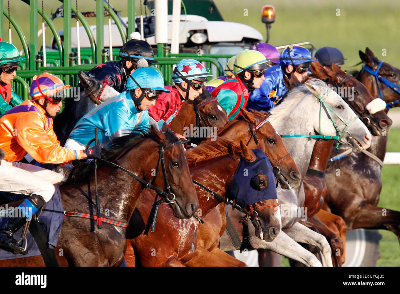 Iffezheim, Germania, cavalli e fantini all'inizio di una corsa di cavalli Foto Stock
