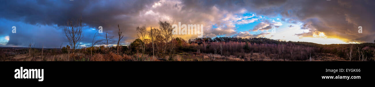 Nuvole sky woodland Foto Stock