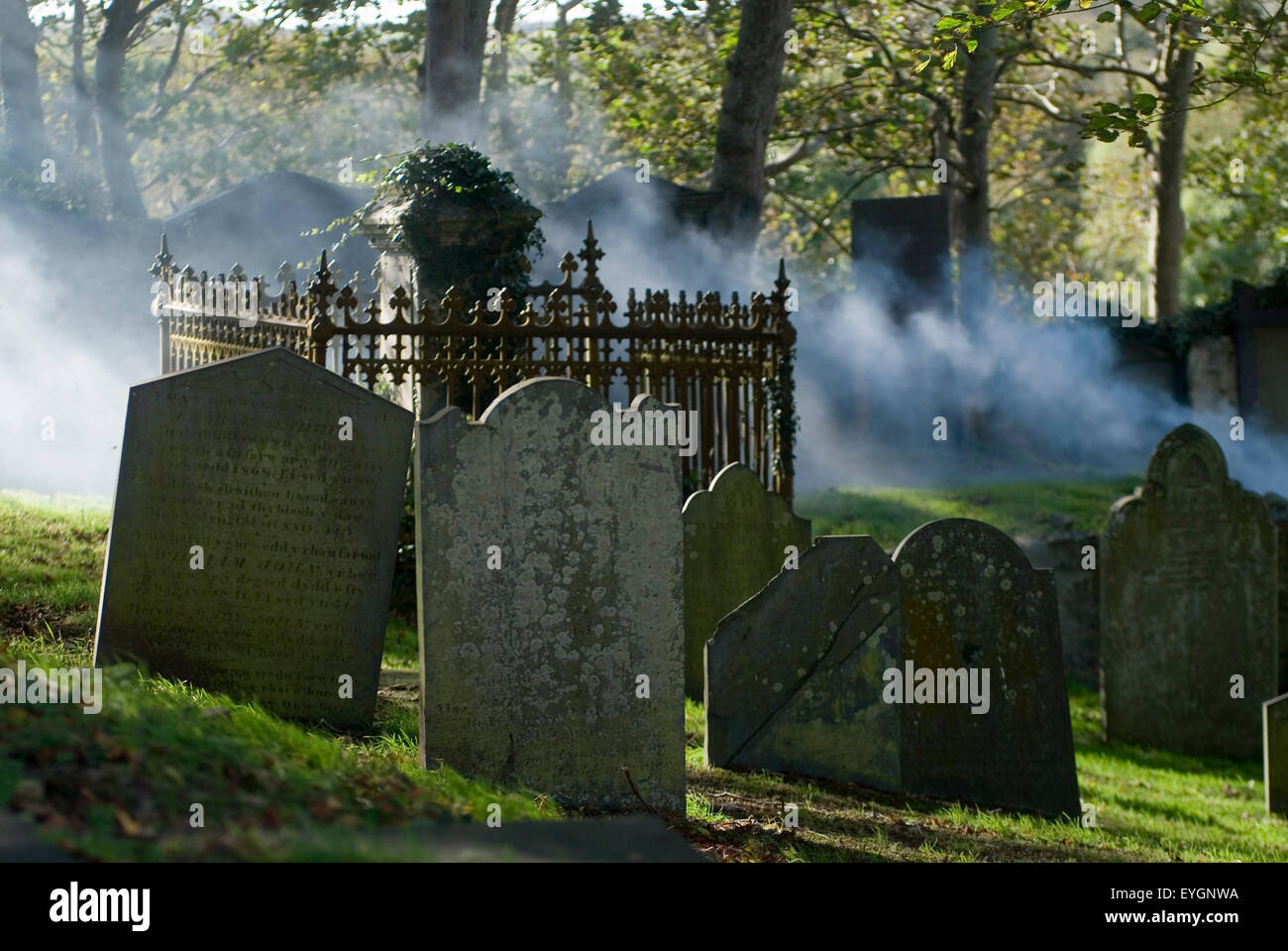 St Davids Cimitero Pembrokeshire West Wales, Regno Unito, Europa Foto Stock