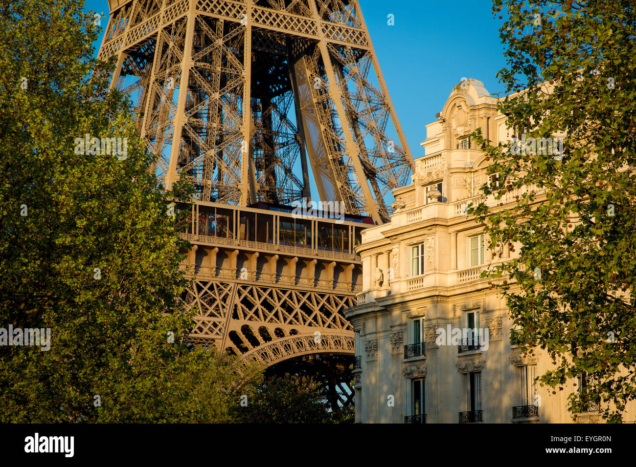 Sera La luce solare sulla Torre Eiffel, Parigi, Francia Foto Stock