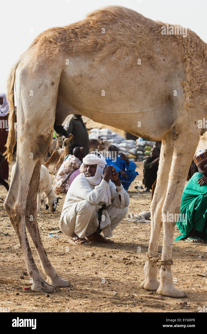 Niger, Peul trader squatting in corrispondenza di Agadez principale mercato di bestiame; Agadez Foto Stock