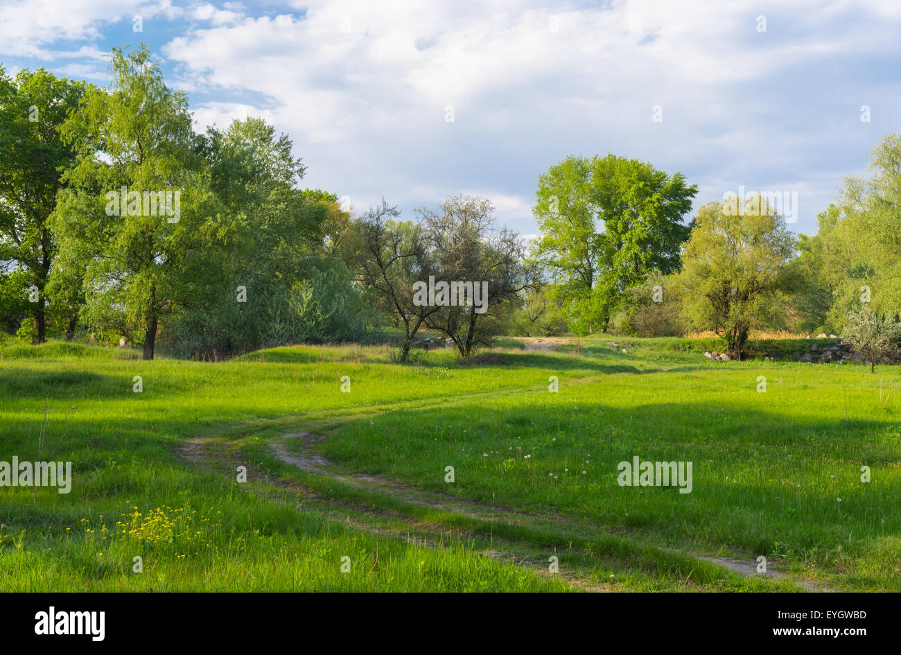 Paesaggio stagionali in Ucraina centrale Foto Stock