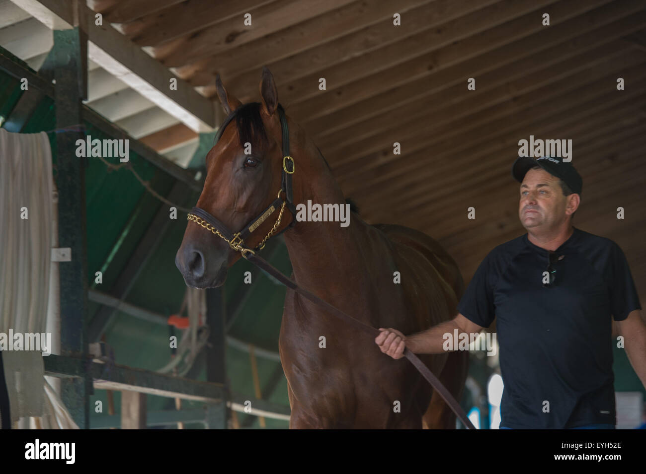 Oceanport, NJ, Stati Uniti d'America. 29 Luglio, 2015. Assistant trainer Jimmy Barnes con Triple Crown vincitore AMERICAN PHAROAH come egli arriva a Monmouth Park per questa domenica di Haskell Invitational Mercoledì 29 Luglio, 2015. Credito: Bryan Smith/ZUMA filo/Alamy Live News Foto Stock