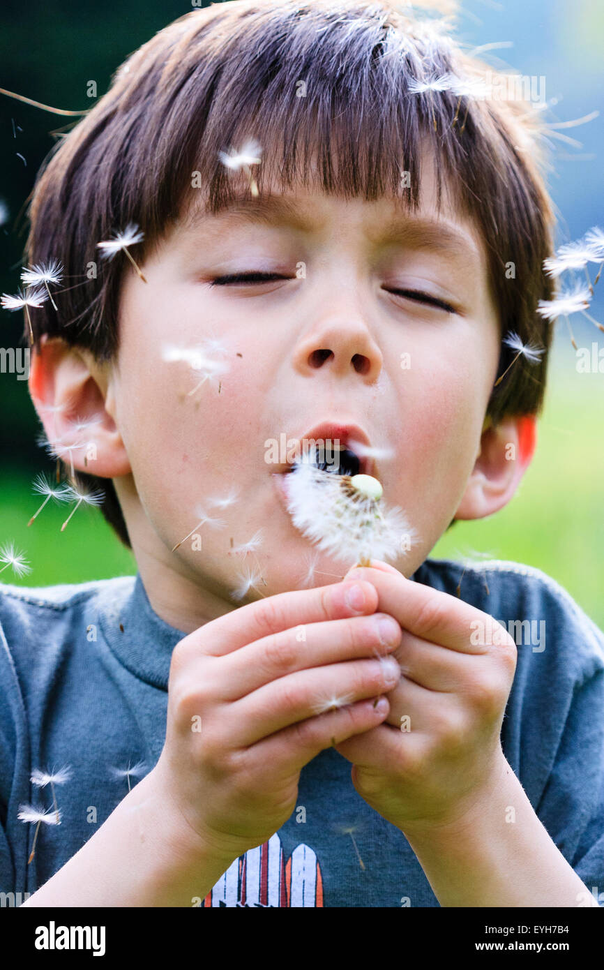 Ragazzo soffiando tarassaco semi da seedhead. Bambino caucasico, 6-7 anni. Close up, testa e spalle. Albero verde dello sfondo. Foto Stock