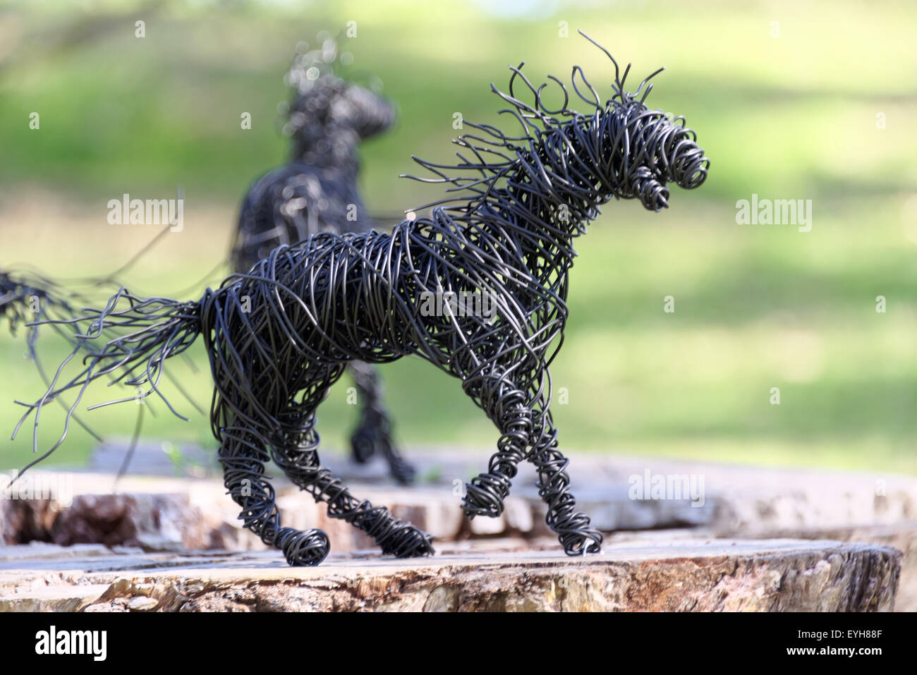 Sydney, Australia. Il 30 luglio, 2015. Scultura di Allison Garoza intitolato "intrappolato" al porto esposizione di scultura su Clarkes Point Reserve di Sydney. Credito: MediaServicesAP/Alamy Live News Foto Stock