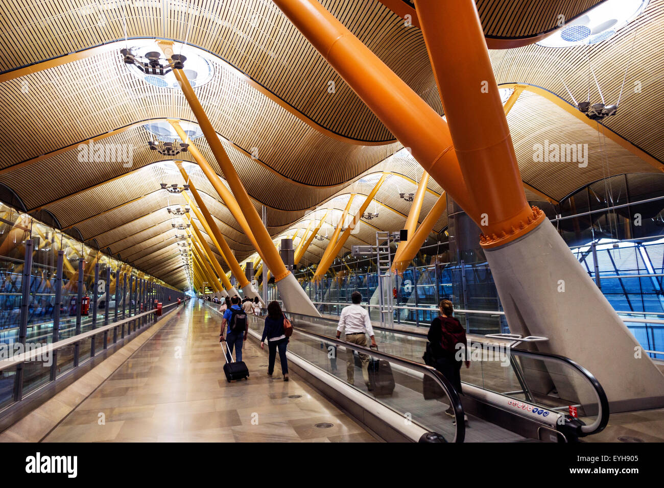 Spagna,MAD,Aeroporto Adolfo Suarez Madrid-Barajas,internazionale,interno,terminal,gate,Richard Rogers,Antonio lamelas,architettura,soffitto in bambù,m Foto Stock