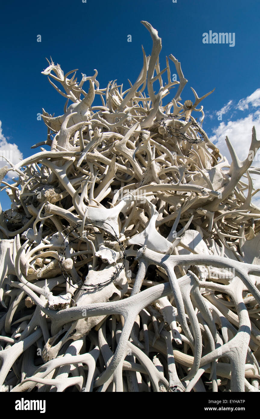 Enorme pila di corna di cervo al di fuori di Cody, Wyoming negli Stati Uniti. Foto Stock