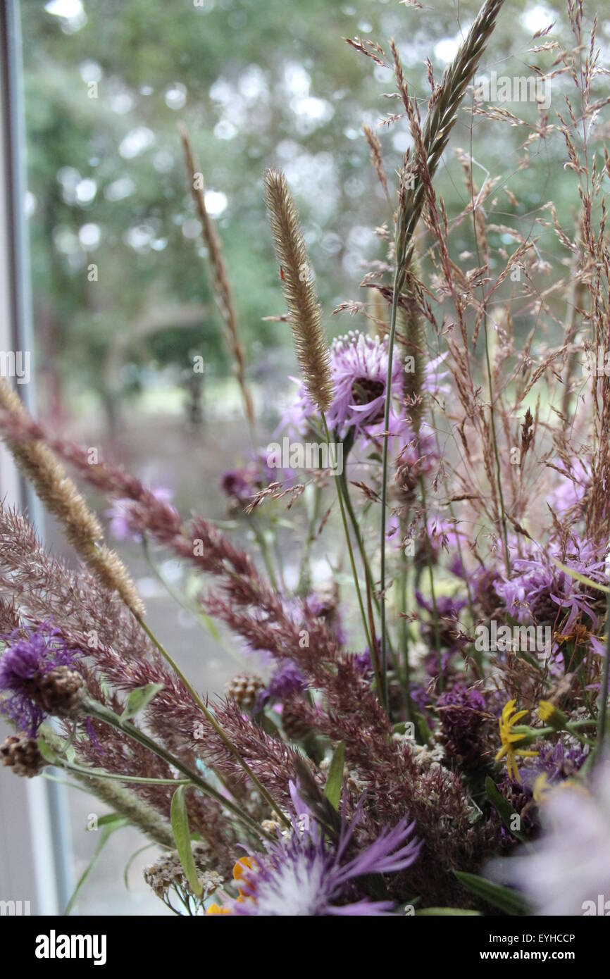 Erbe selvatiche e fiori in bouquet sulla finestra Foto Stock