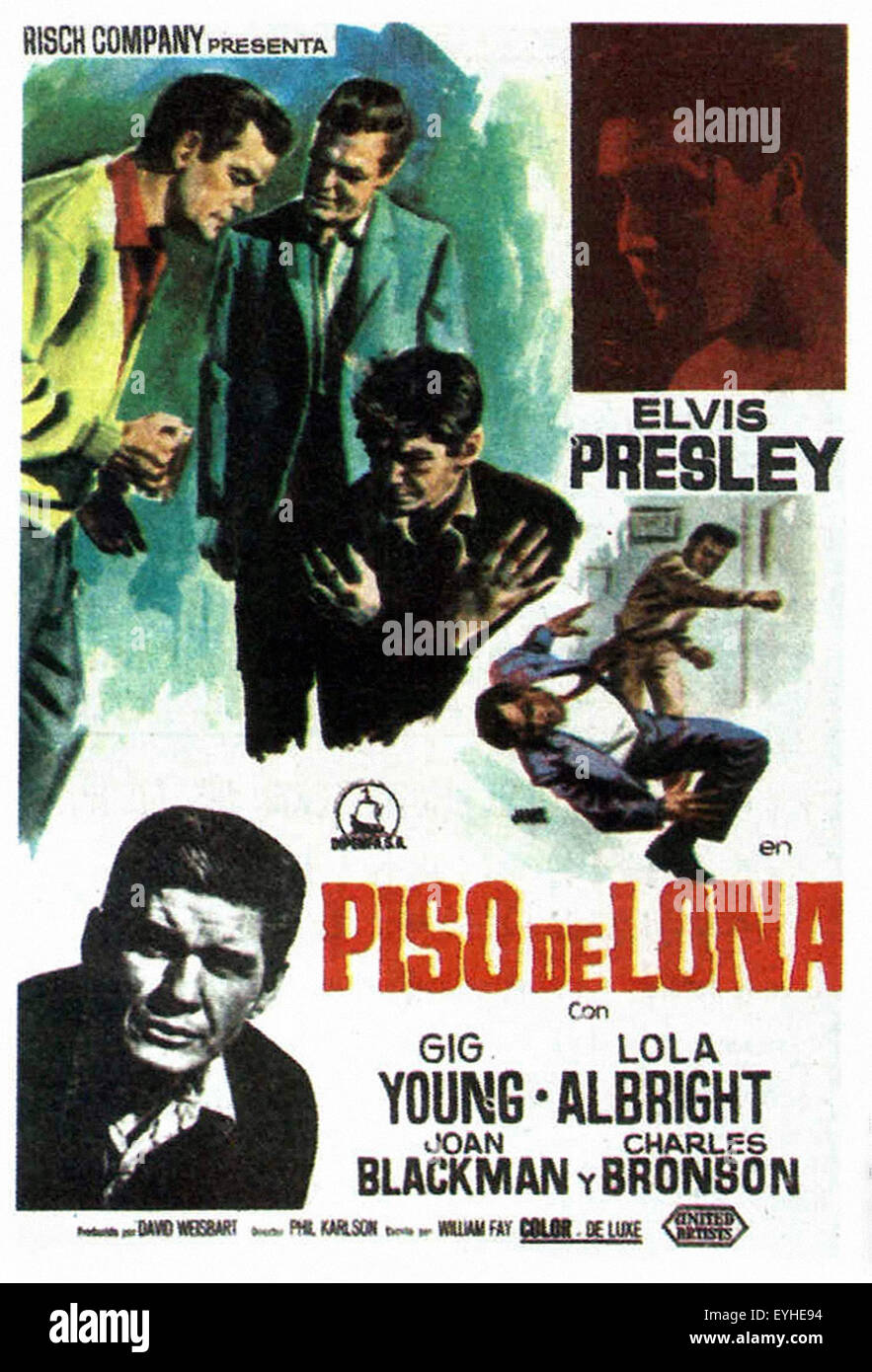 Kid Galahad - 1962 - Elvis Presley - spagnola poster del filmato Foto Stock